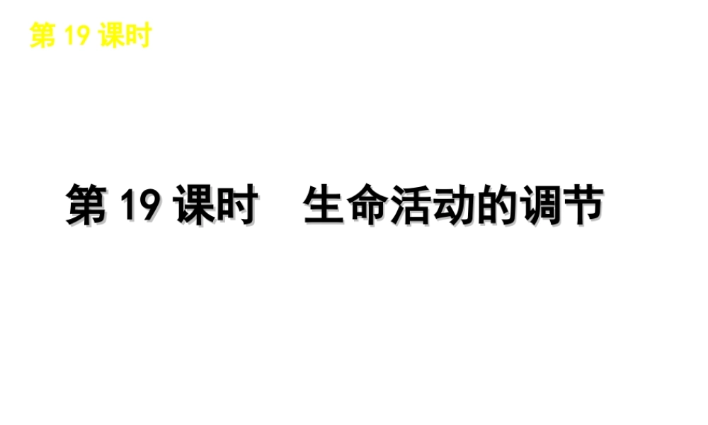 2012版中考生物一轮复习（含2011中考新题） 第19课时生命活动的调节精品课件 浙教版