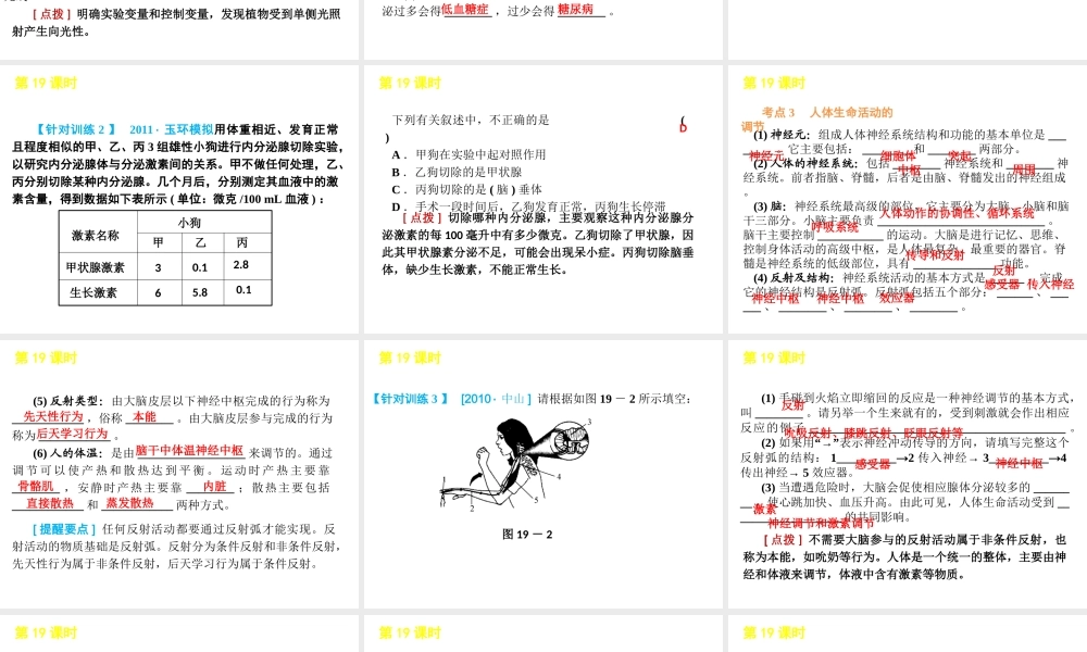 2012版中考生物一轮复习（含2011中考新题） 第19课时生命活动的调节精品课件 浙教版