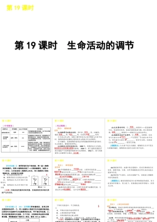 2012版中考生物一轮复习（含2011中考新题） 第19课时生命活动的调节精品课件 浙教版