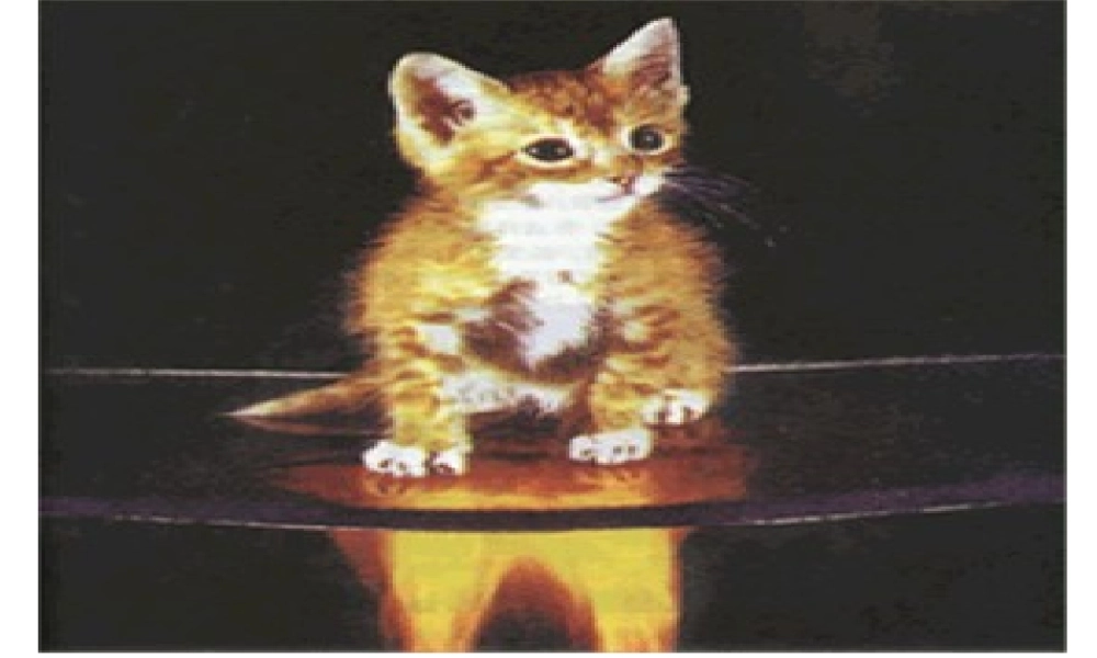 2012秋季九年级化学上册 课题1 物质的变化和性质2课件 人教新课标版