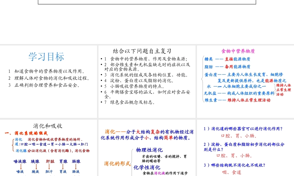2013年七年级生物下册 第二章 人体的营养复习课件 新人教版