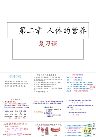 2013年七年级生物下册 第二章 人体的营养复习课件 新人教版