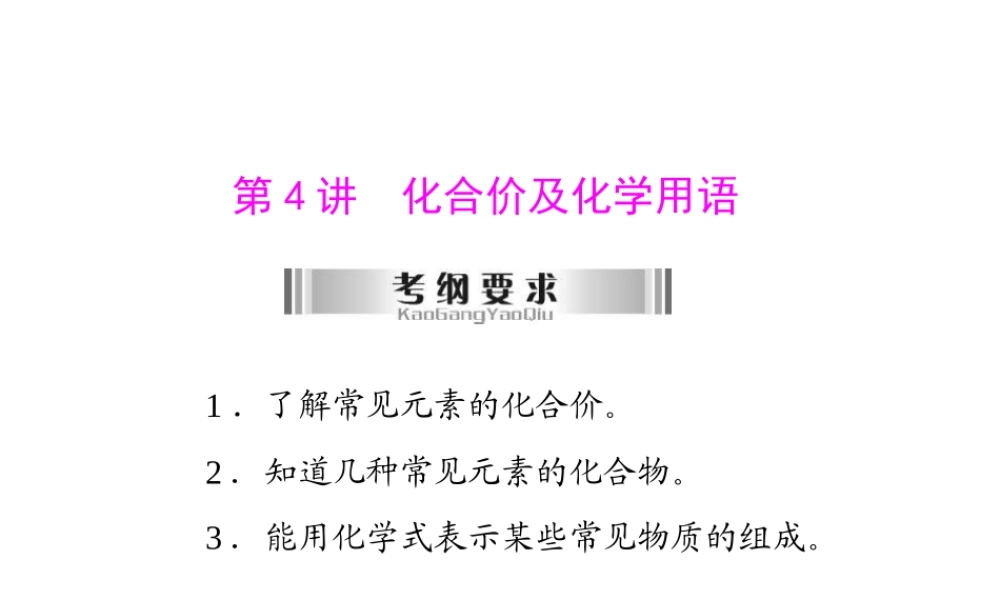 2013年中考化学复习 第4讲《化合价及化学用语》课件 粤教版