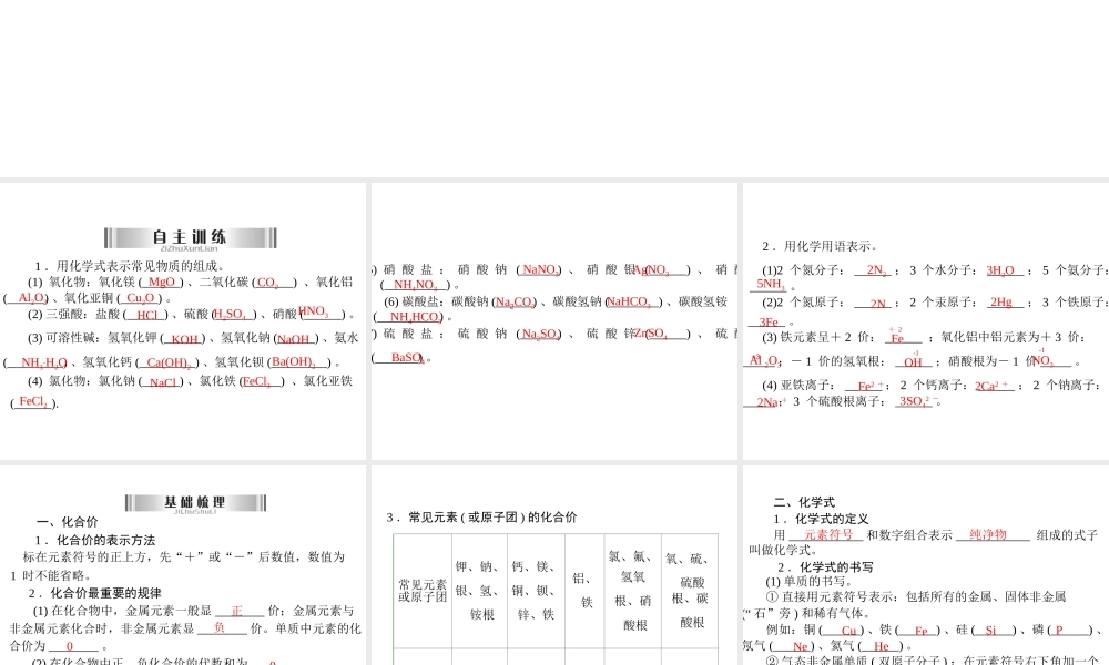 2013年中考化学复习 第4讲《化合价及化学用语》课件 粤教版