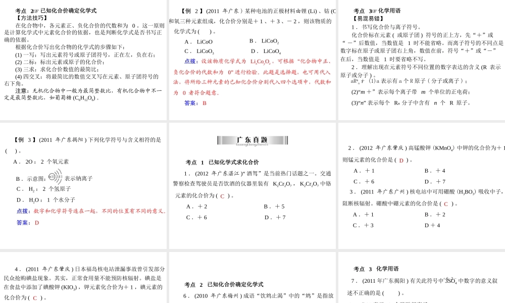 2013年中考化学复习 第4讲《化合价及化学用语》课件 粤教版
