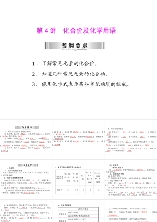 2013年中考化学复习 第4讲《化合价及化学用语》课件 粤教版