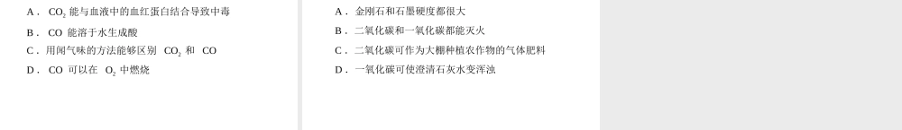 2013年中考化学复习 第12讲《碳单质和一氧化碳》课件 粤教版