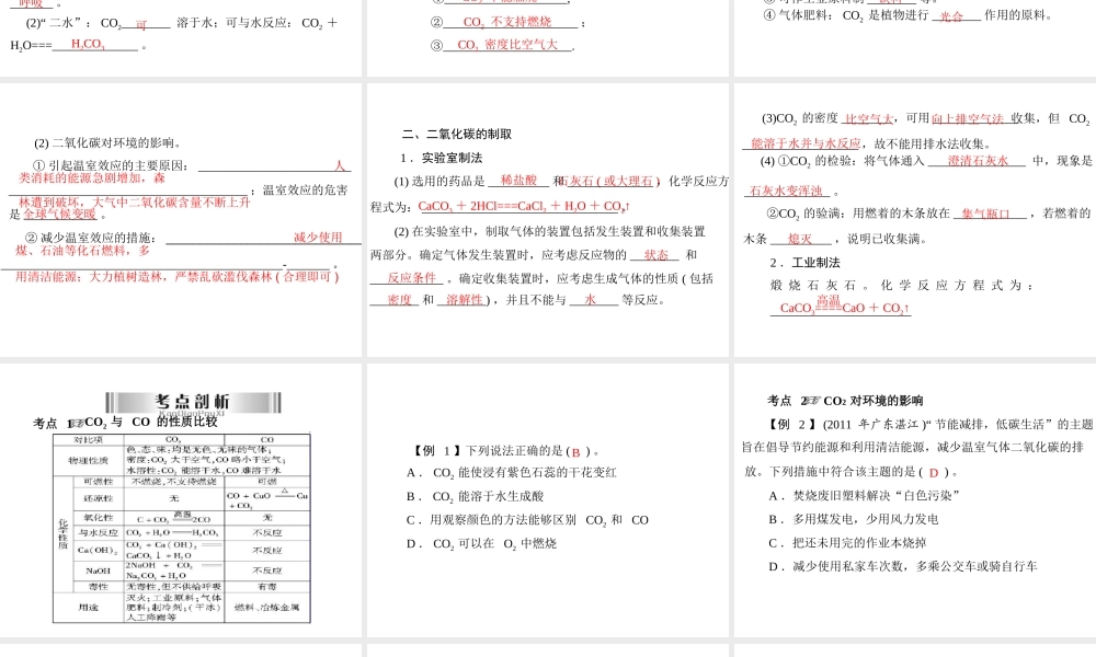 2013年中考化学复习 第13讲《二氧化碳》课件 粤教版