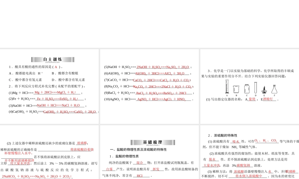 2013年中考化学复习 第18讲《盐酸硫酸》课件 粤教版