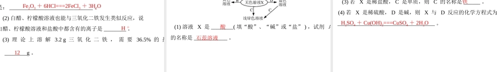 2013年中考化学复习 第18讲《盐酸硫酸》课件 粤教版