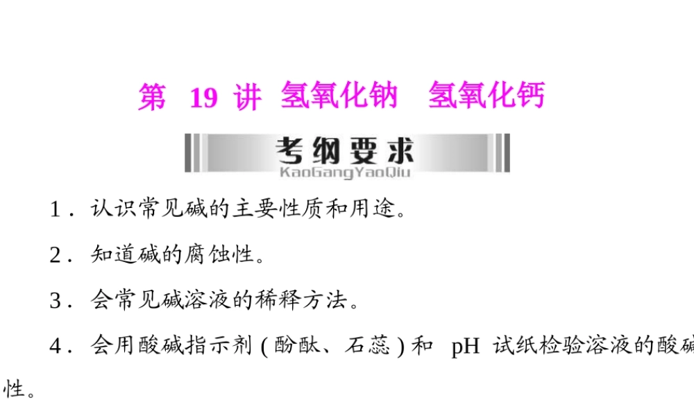 2013年中考化学复习 第19讲《氢氧化钠氢氧化钙》课件 粤教版