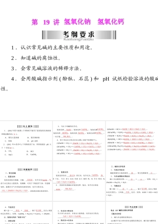 2013年中考化学复习 第19讲《氢氧化钠氢氧化钙》课件 粤教版