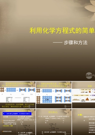 2012秋季九年级化学上册 课题3 利用化学方程式的简单计算2课件 人教新课标版