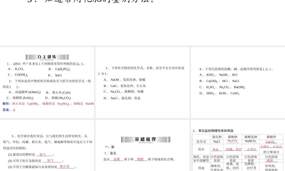 2013年中考化学复习 第21讲《常见的盐和化学肥料》课件 粤教版