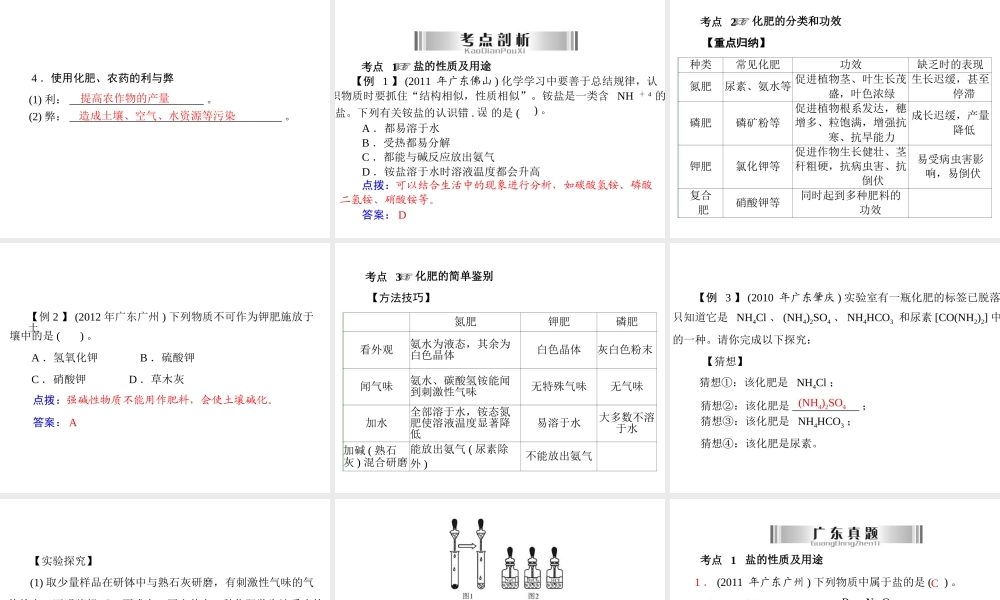2013年中考化学复习 第21讲《常见的盐和化学肥料》课件 粤教版