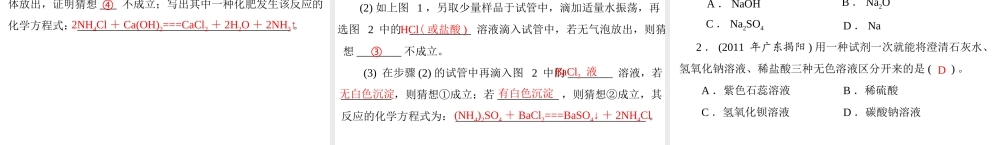 2013年中考化学复习 第21讲《常见的盐和化学肥料》课件 粤教版
