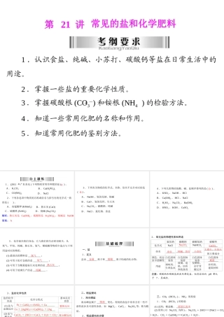 2013年中考化学复习 第21讲《常见的盐和化学肥料》课件 粤教版