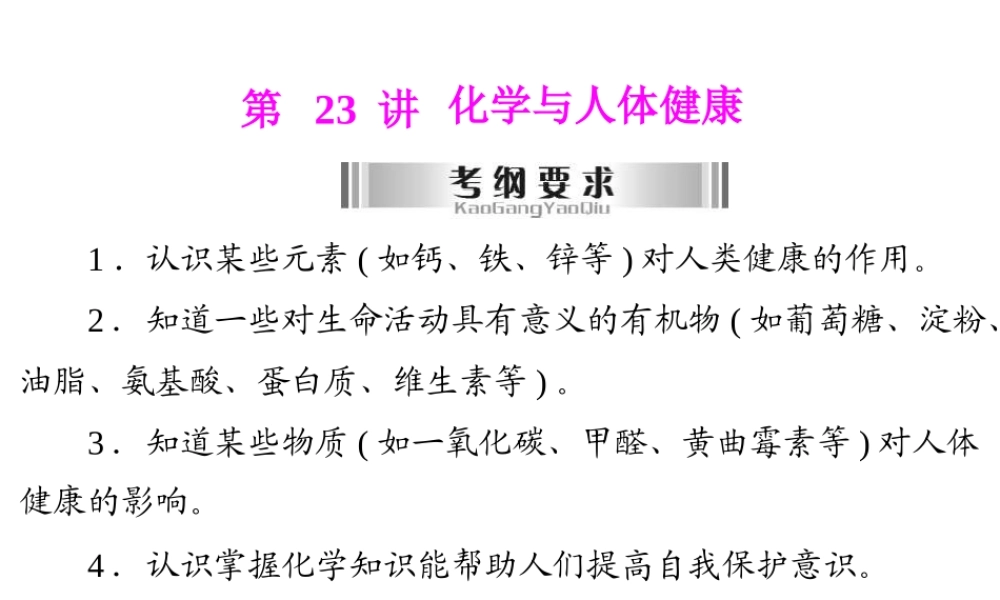 2013年中考化学复习 第23讲《化学与人体健康》课件 粤教版