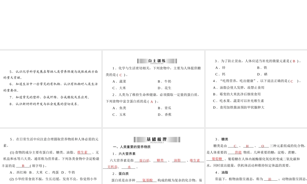 2013年中考化学复习 第23讲《化学与人体健康》课件 粤教版