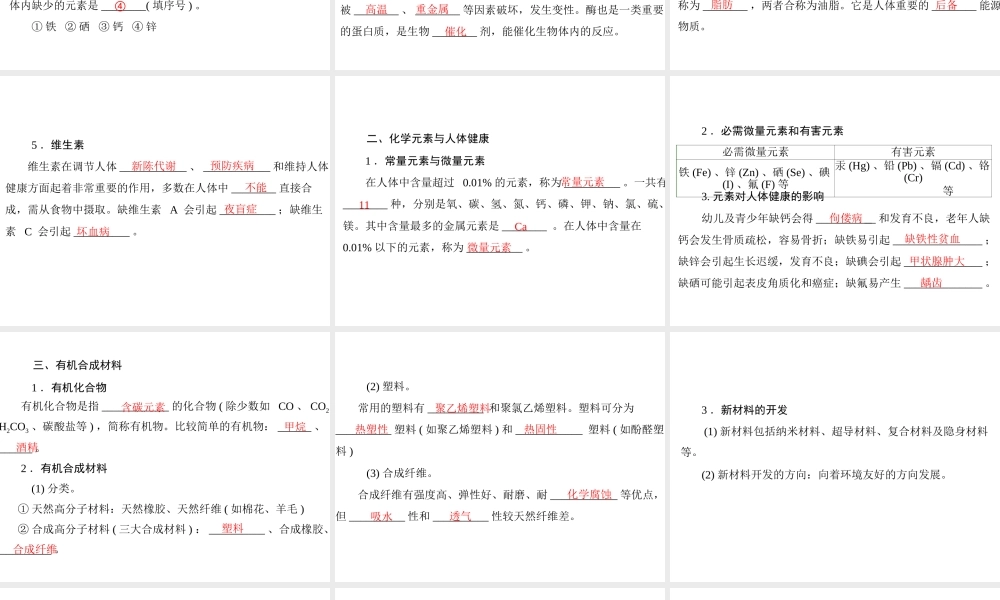 2013年中考化学复习 第23讲《化学与人体健康》课件 粤教版
