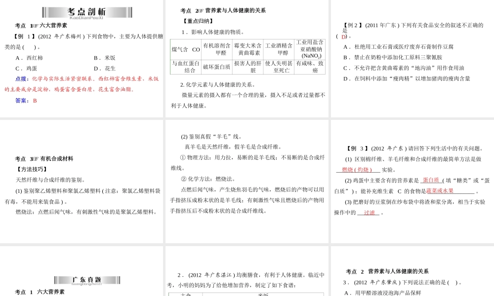 2013年中考化学复习 第23讲《化学与人体健康》课件 粤教版