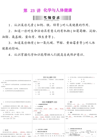 2013年中考化学复习 第23讲《化学与人体健康》课件 粤教版