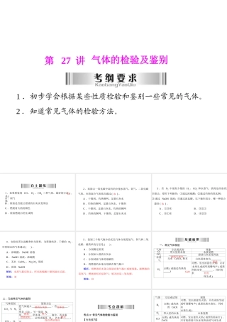 2013年中考化学复习 第27讲《气体的检验及鉴别》课件 粤教版