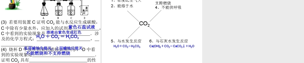 2012秋开学九年级化学《二氧化碳性质》精品课件 北京课改版