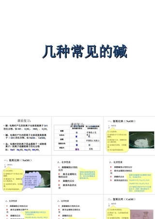 2012秋开学九年级化学《几种常见的碱》精品课件 北京课改版