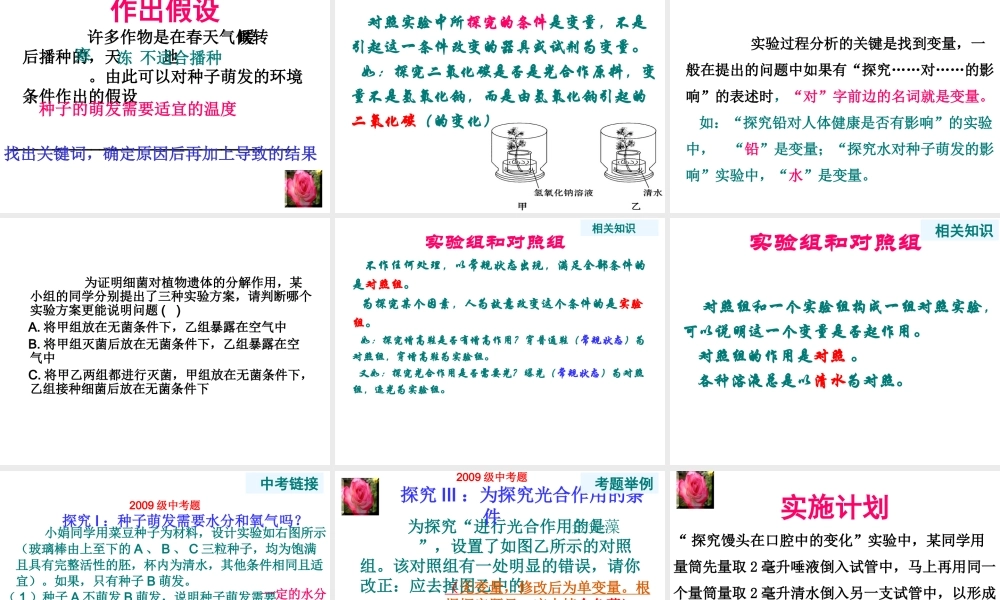 2013年中考生物 实验探究题解题技法课件