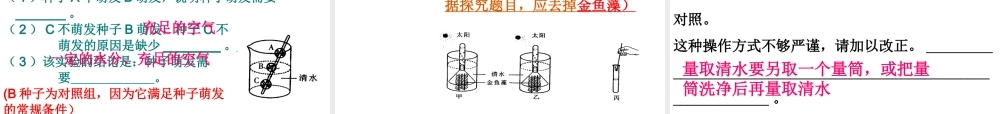 2013年中考生物 实验探究题解题技法课件