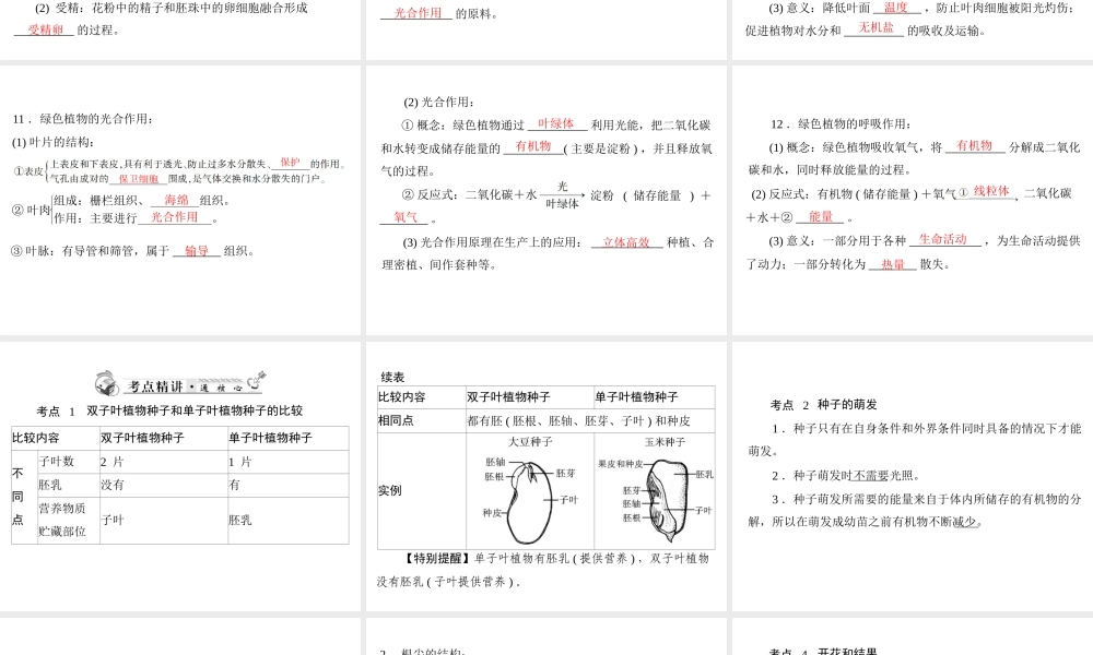 2013年中考生物复习 第三章 生物圈中的绿色植物课件 北师大版
