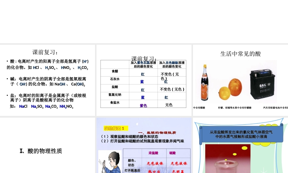 2012秋开学九年级化学《几种常见的酸》精品课件 北京课改版