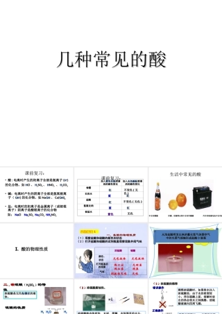 2012秋开学九年级化学《几种常见的酸》精品课件 北京课改版