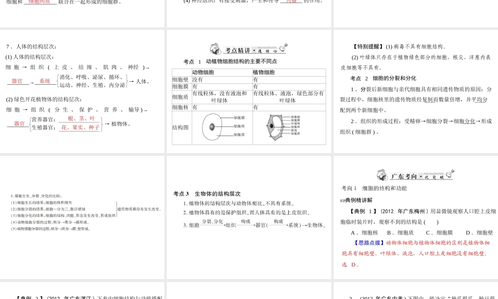 2013年中考生物复习 第一章 生物体的结构层次课件 北师大版