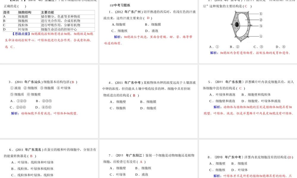 2013年中考生物复习 第一章 生物体的结构层次课件 北师大版