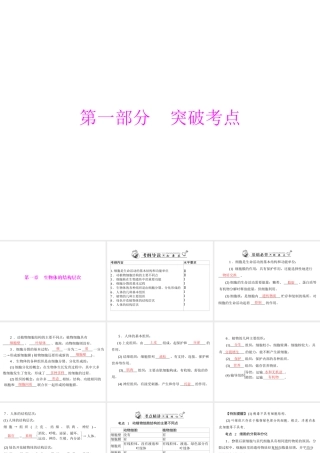 2013年中考生物复习 第一章 生物体的结构层次课件 北师大版