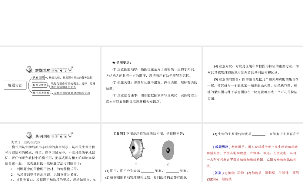 2013年中考生物复习 专题二 突破识图题型课件 北师大版