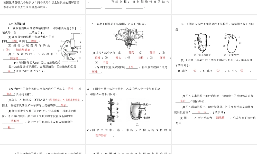 2013年中考生物复习 专题二 突破识图题型课件 北师大版