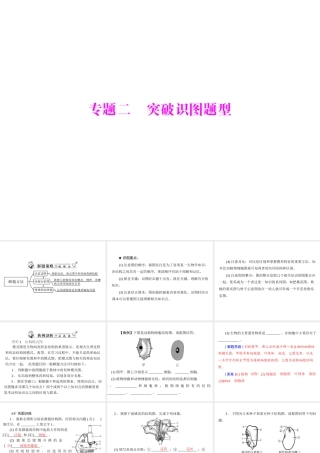 2013年中考生物复习 专题二 突破识图题型课件 北师大版