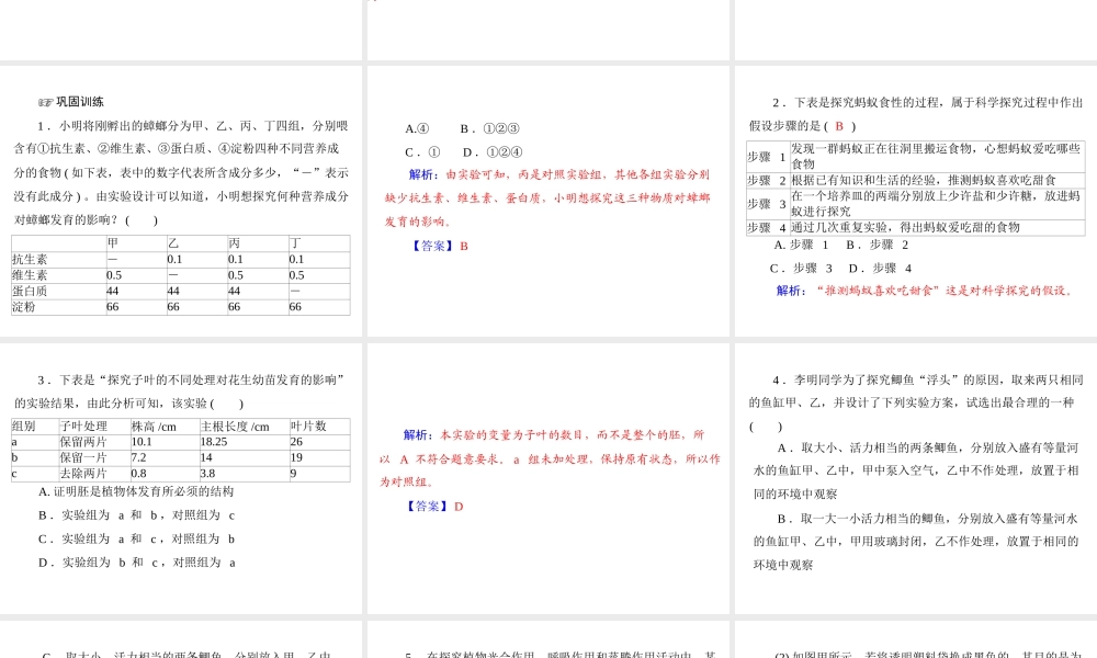 2013年中考生物复习 专题三 突破实验题型课件 北师大版