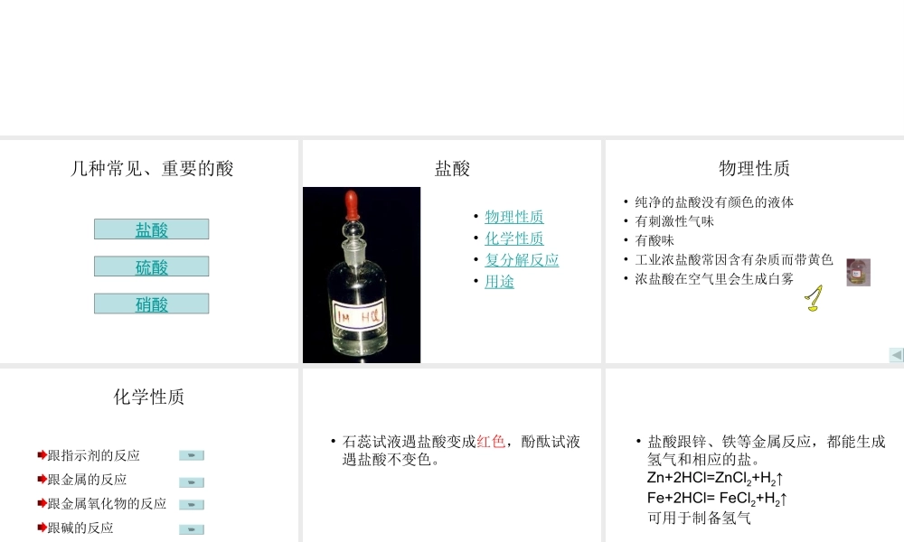 2012秋开学九年级化学《几种常见的酸》精品课件 1北京课改版