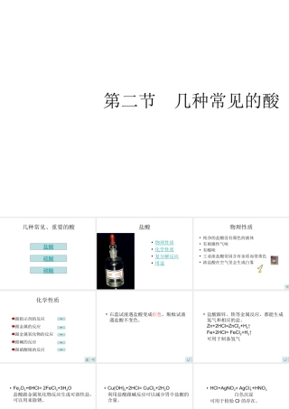 2012秋开学九年级化学《几种常见的酸》精品课件 1北京课改版