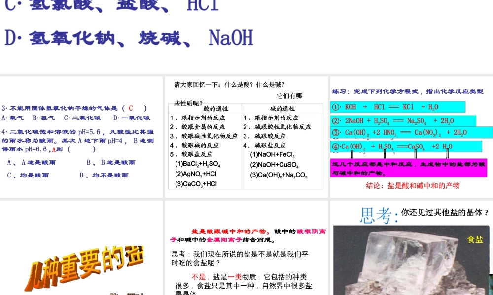 2012秋开学九年级化学《几种常见的盐》精品课件 北京课改版