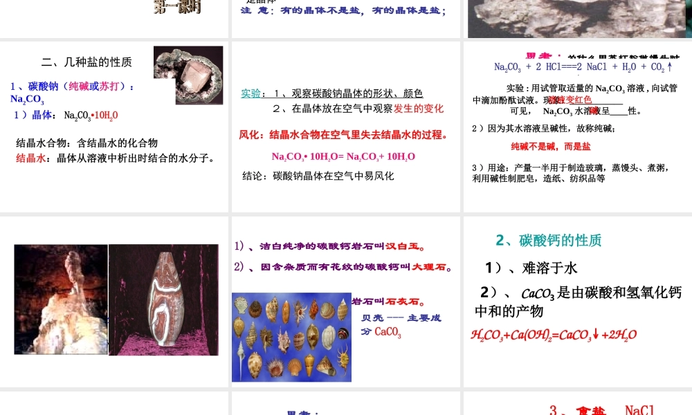 2012秋开学九年级化学《几种常见的盐》精品课件 北京课改版