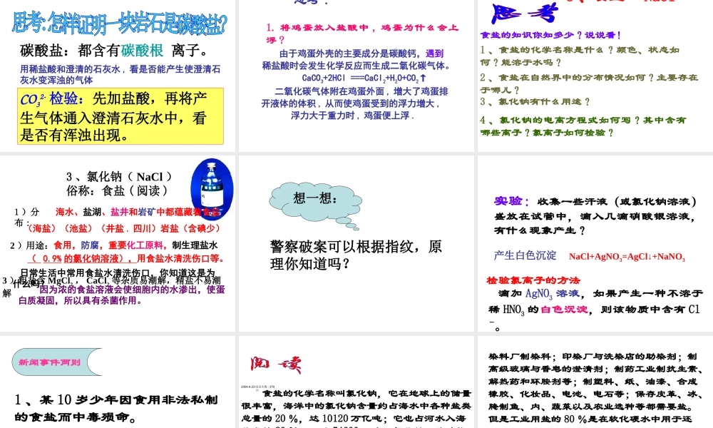 2012秋开学九年级化学《几种常见的盐》精品课件 北京课改版