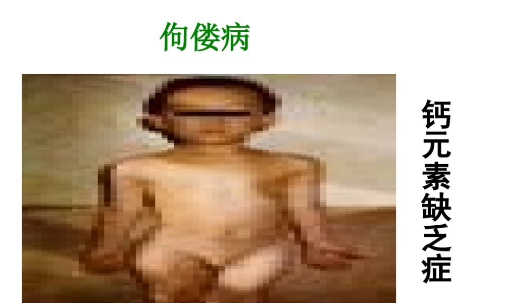 2012秋开学九年级化学《元素》精品课件 北京课改版