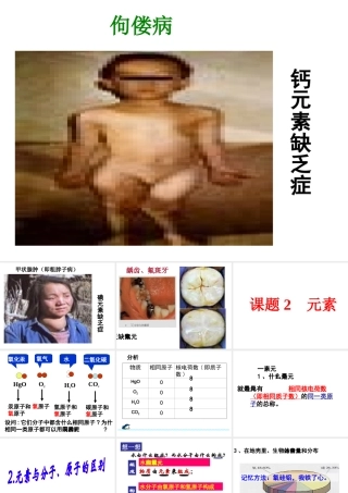 2012秋开学九年级化学《元素》精品课件 北京课改版