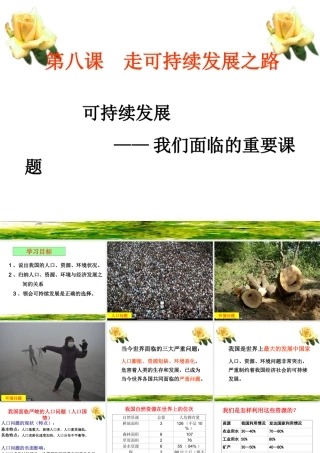 2014年秋九年级政治全册 第八课 第一框 可持续发展-我们面临的重要课题课件3 鲁教版