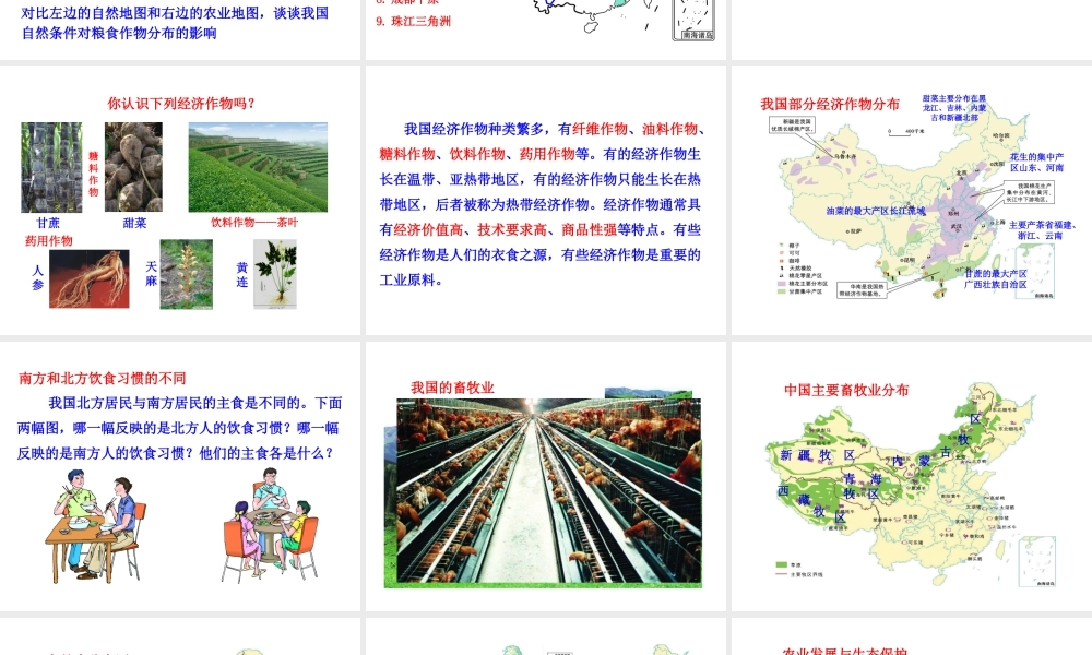 2014年八年级地理上册 4.1.2 主要经济作物的分布课件 （新版）湘教版